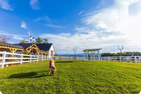 Skyland Ranch
