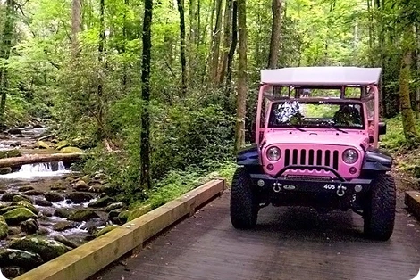 Smoky Mountain Jeep Tour